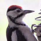 140x140