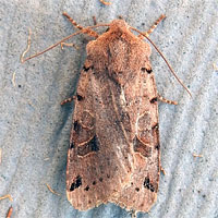 200